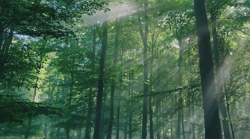 兔寶寶企業(yè)宣傳片