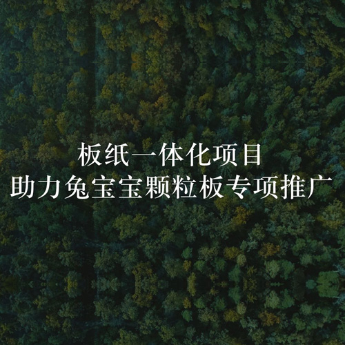 板紙一體化項目，助力兔寶寶顆粒板專項推廣