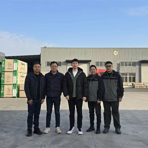 探索未來家居新風(fēng)尚|兔寶寶彩臻板的創(chuàng)新之旅