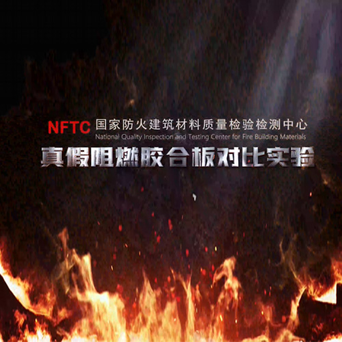 4月3日鎖定直播！用實驗揭秘難燃板防火真相