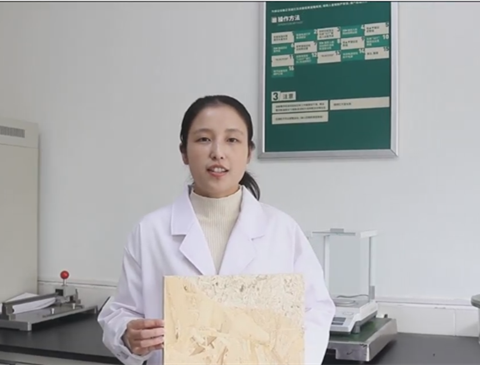 科研先鋒|程明娟：創(chuàng)新性膠黏劑的研發(fā)與推廣者