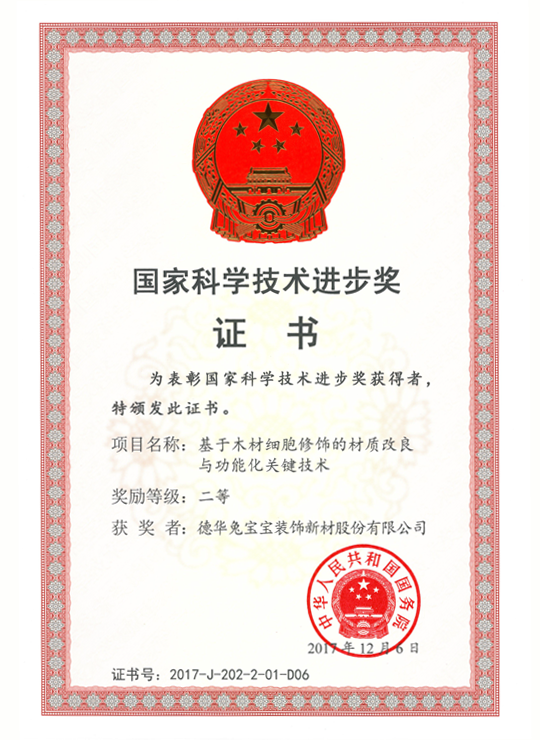 國家科學(xué)技術(shù)進(jìn)步二等獎