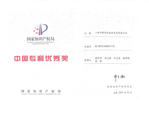 中國專利優(yōu)秀獎