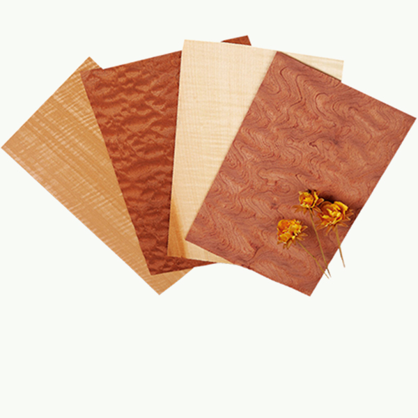 品類齊全 應用廣泛