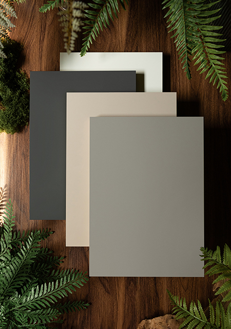 準(zhǔn)分子柜門板