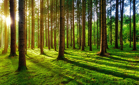 節(jié)約資源  綠色環(huán)保