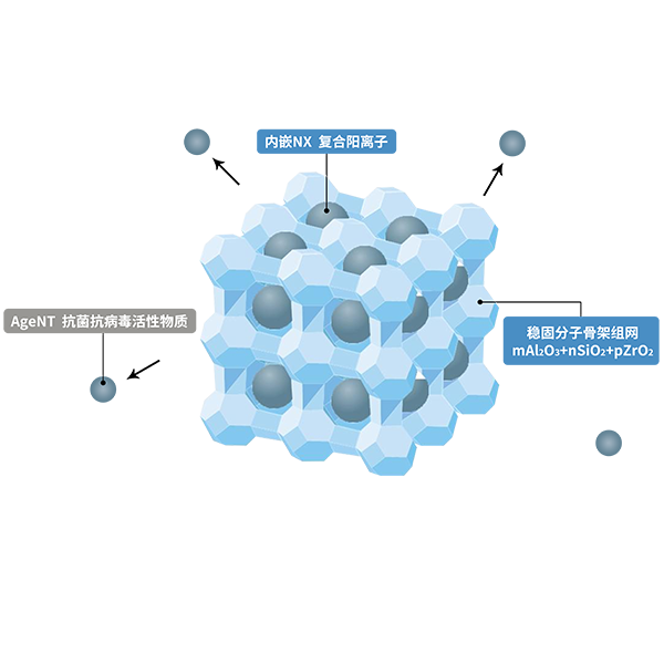 雙盾防護(hù)
筑起健康美好生活