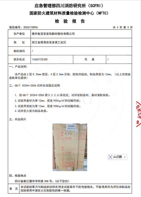 燃燒性能檢測報告
