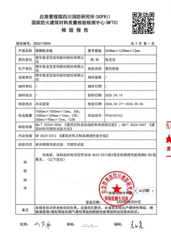 燃燒性能檢測報告