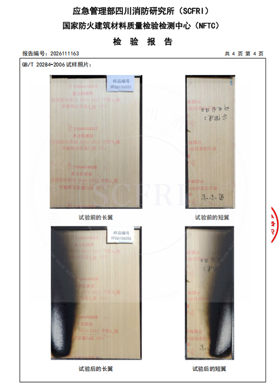 燃燒性能檢測報告