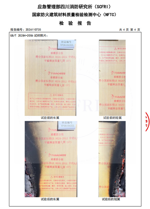 燃燒性能檢測報告